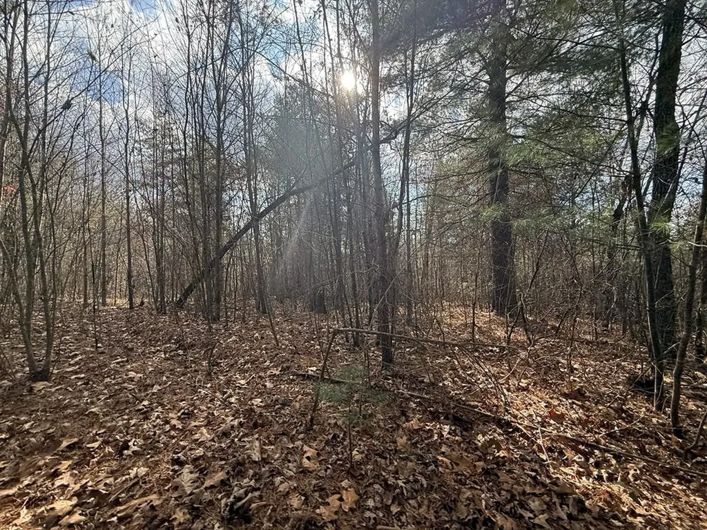 0 Valerie Drive Deer Lodge TN 37726-3506
