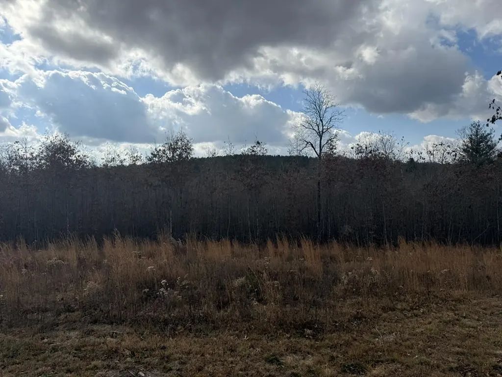 0 Valerie Drive Deer Lodge TN 37726-3506