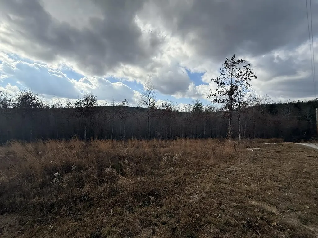 0 Valerie Drive Deer Lodge TN 37726-3506