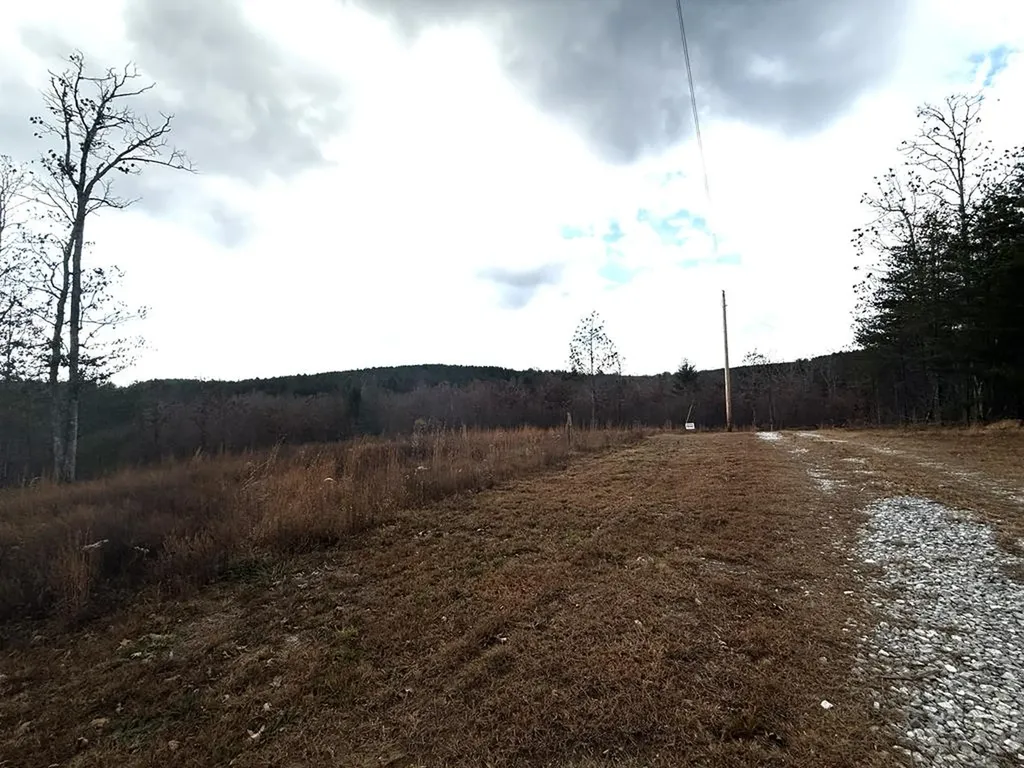 0 Valerie Drive Deer Lodge TN 37726-3506