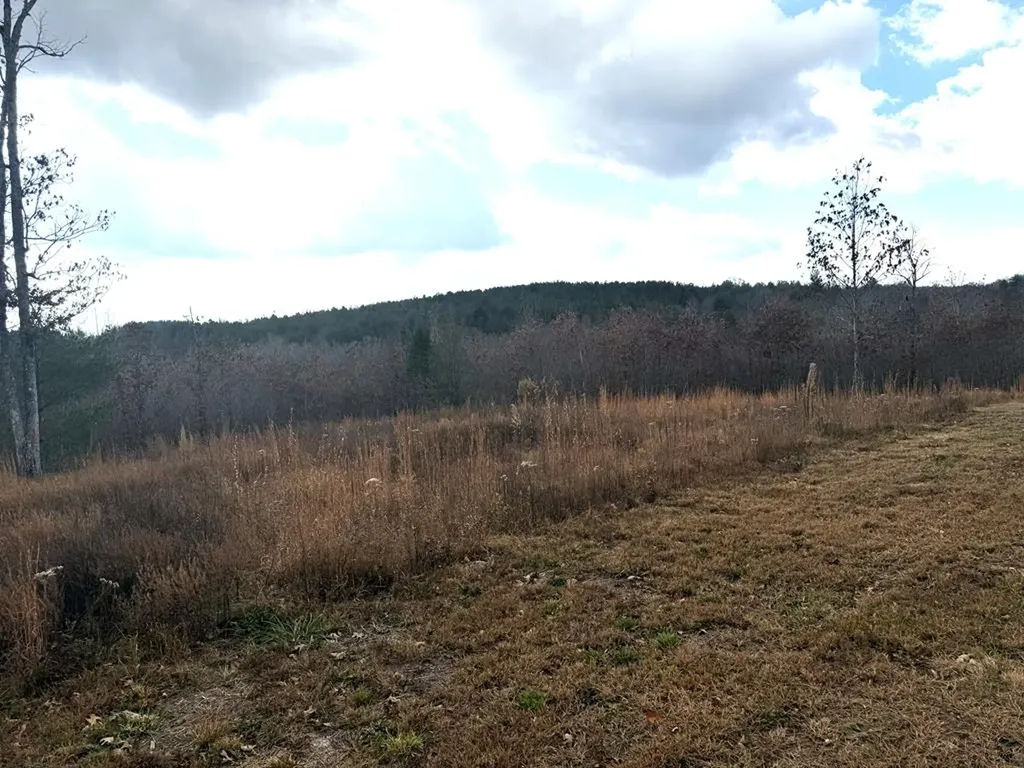 0 Valerie Drive Deer Lodge TN 37726-3506