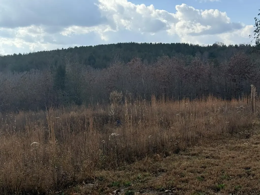 0 Valerie Drive Deer Lodge TN 37726-3506