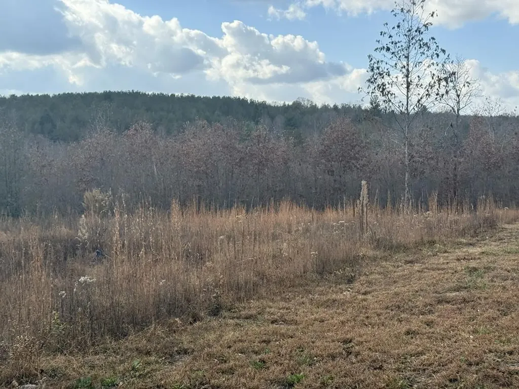0 Valerie Drive Deer Lodge TN 37726-3506