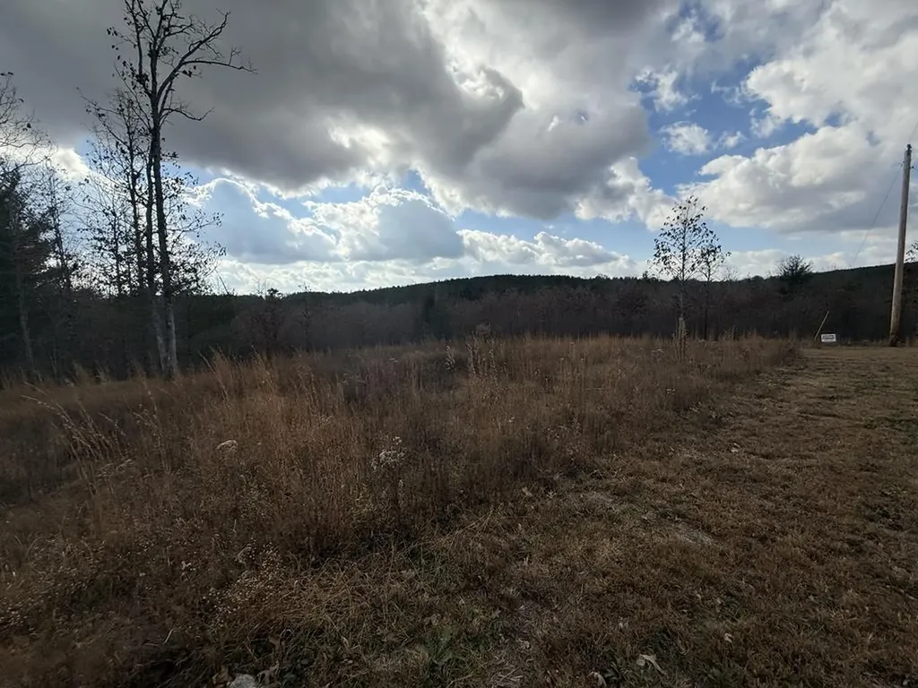0 Valerie Drive Deer Lodge TN 37726-3506