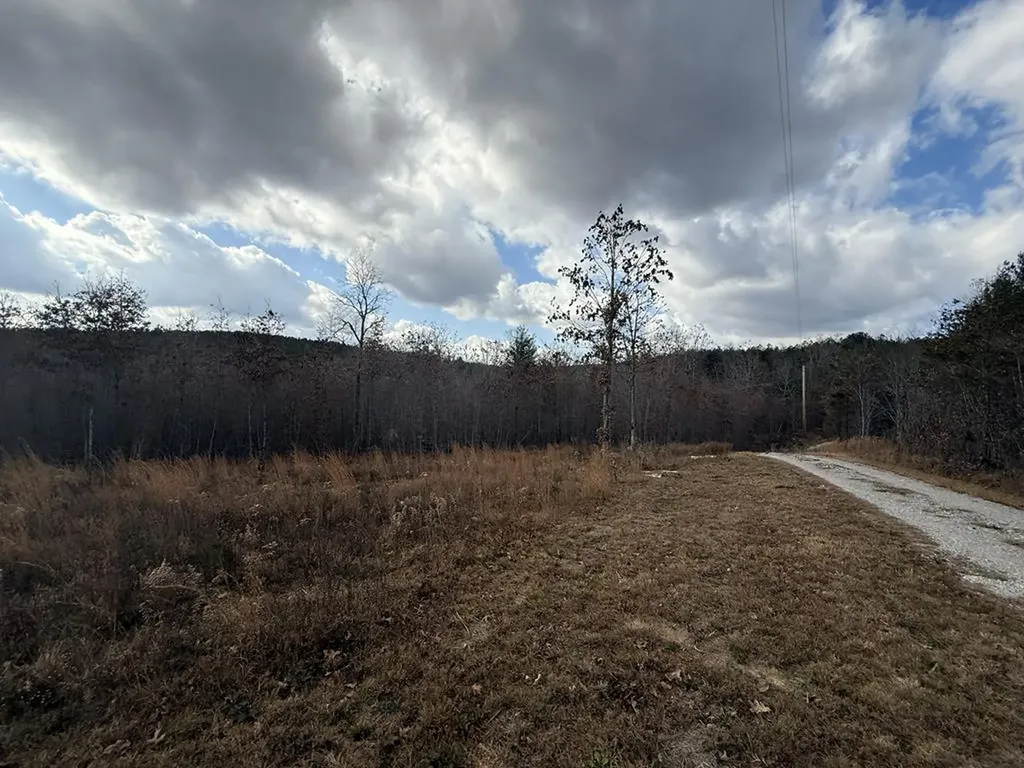 0 Valerie Drive Deer Lodge TN 37726-3506