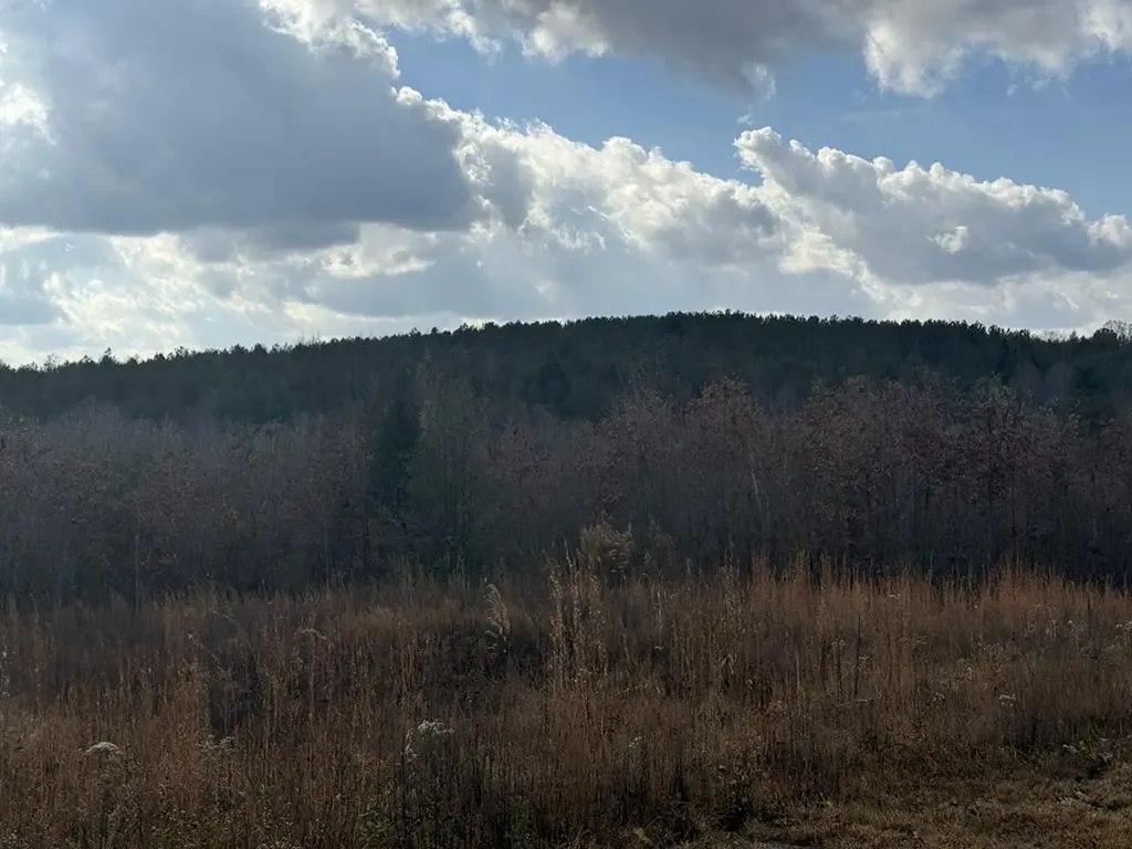 0 Valerie Drive Deer Lodge TN 37726-3506