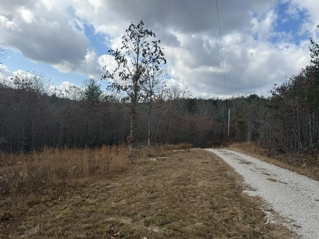 0 Valerie Drive Deer Lodge TN 37726-3506