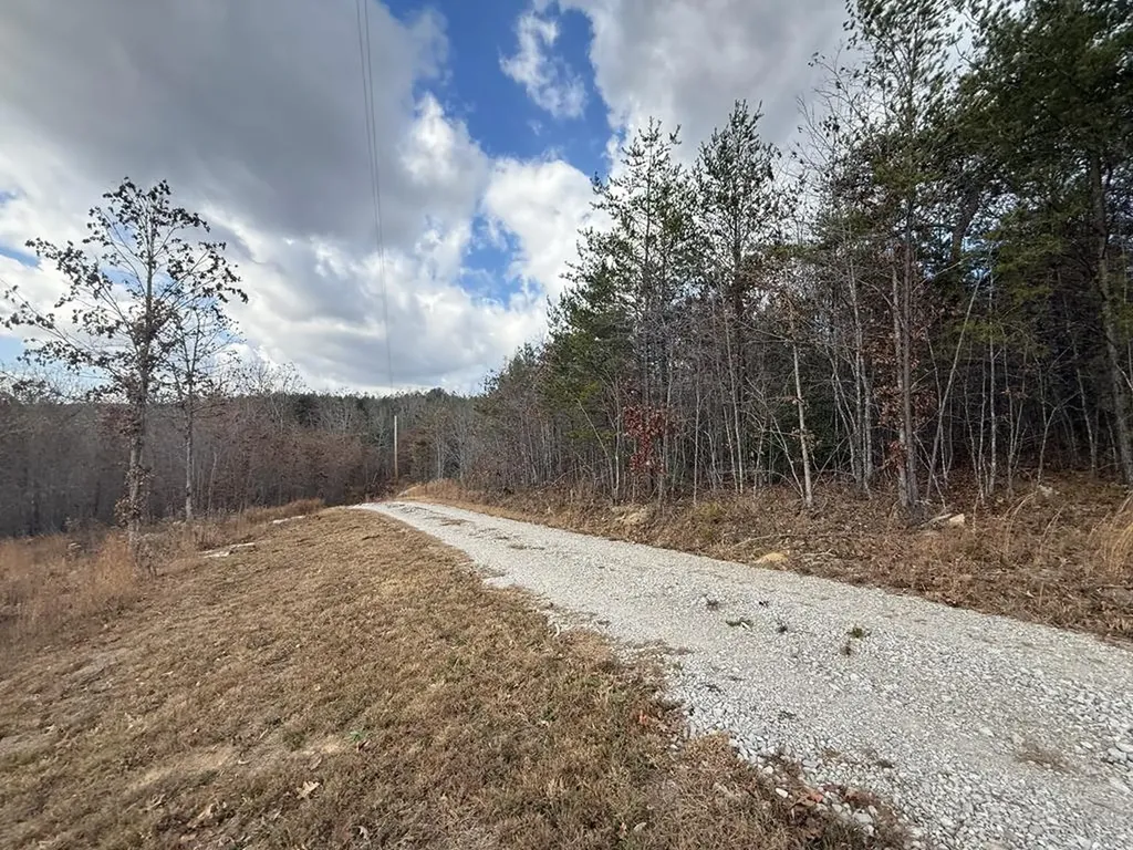 0 Valerie Drive Deer Lodge TN 37726-3506