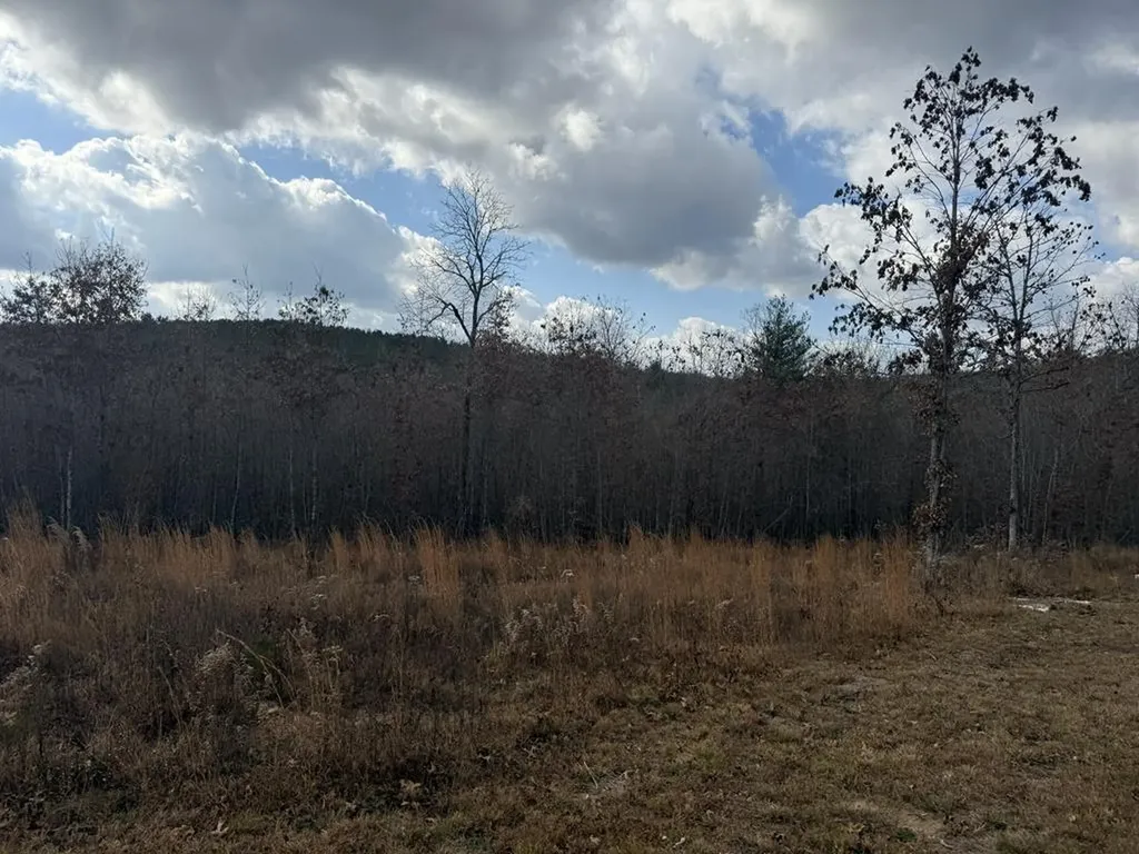 0 Valerie Drive Deer Lodge TN 37726-3506