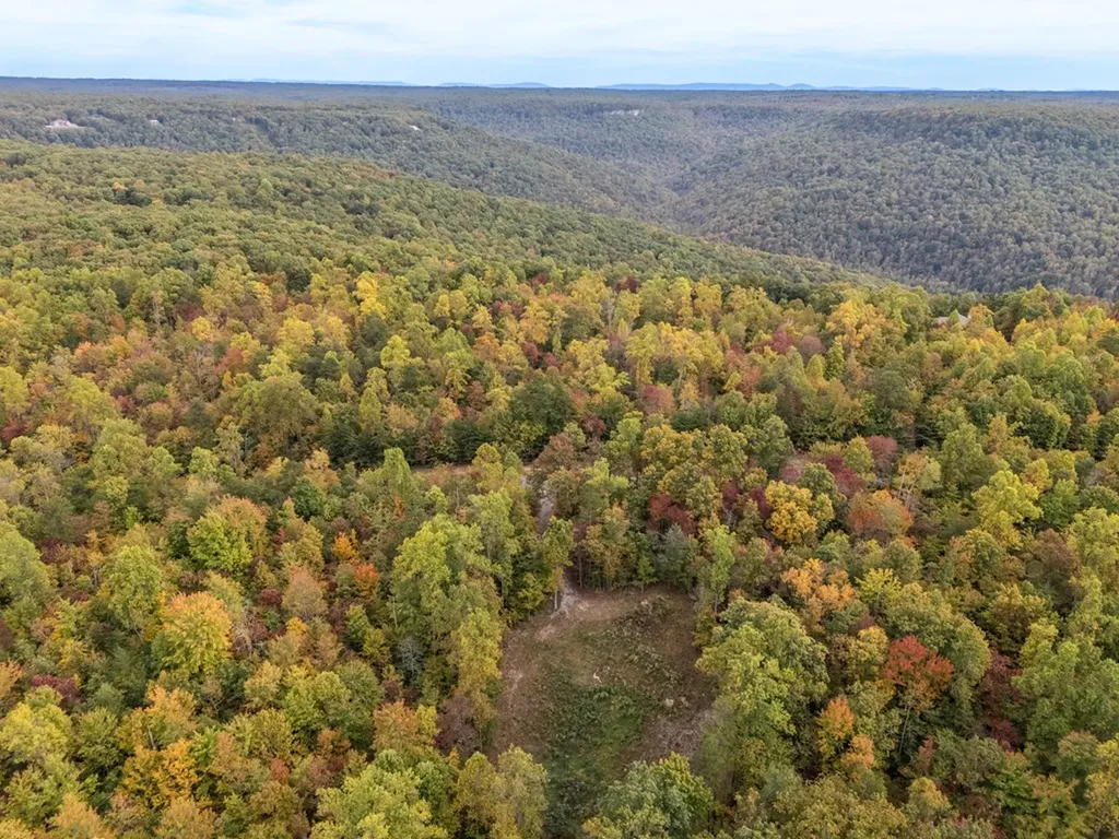 592 Cumberland Cove Road Monterey TN 38574
