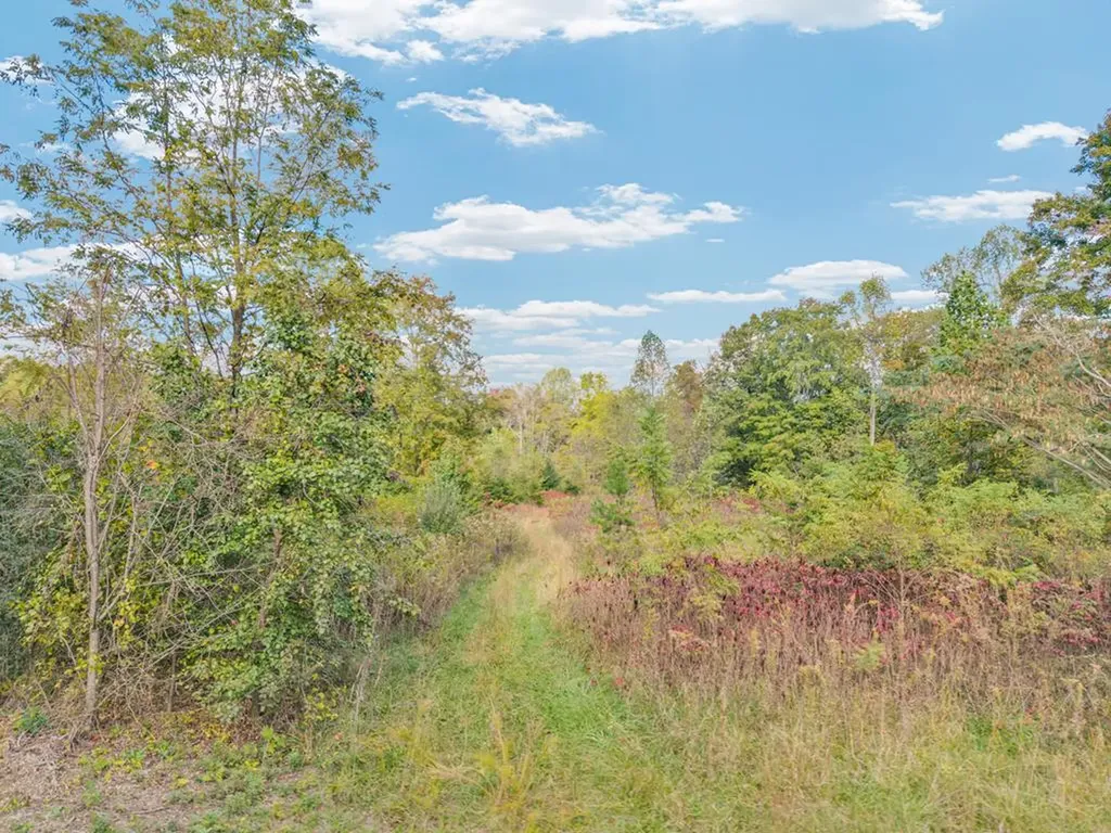 202 Sells Cemetery Road Wilder TN 38589