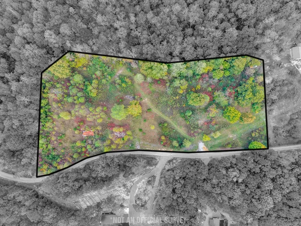202 Sells Cemetery Road Wilder TN 38589