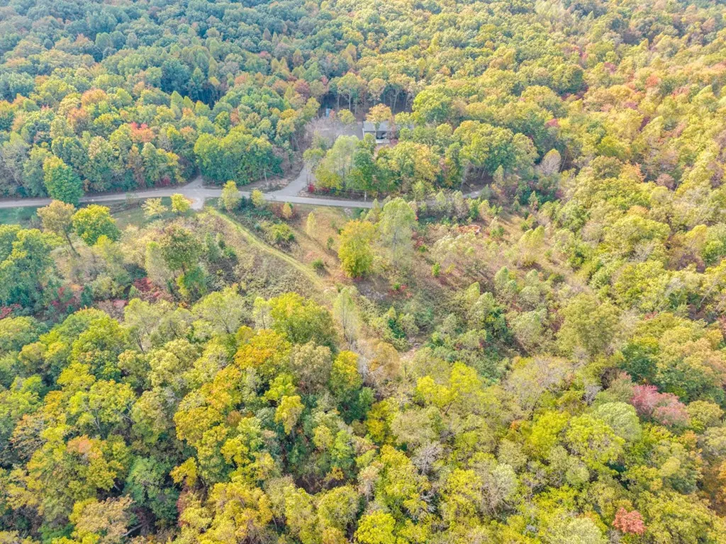 202 Sells Cemetery Road Wilder TN 38589