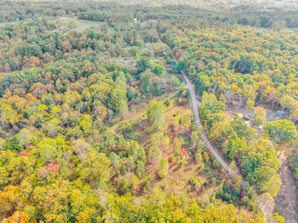 202 Sells Cemetery Road Wilder TN 38589