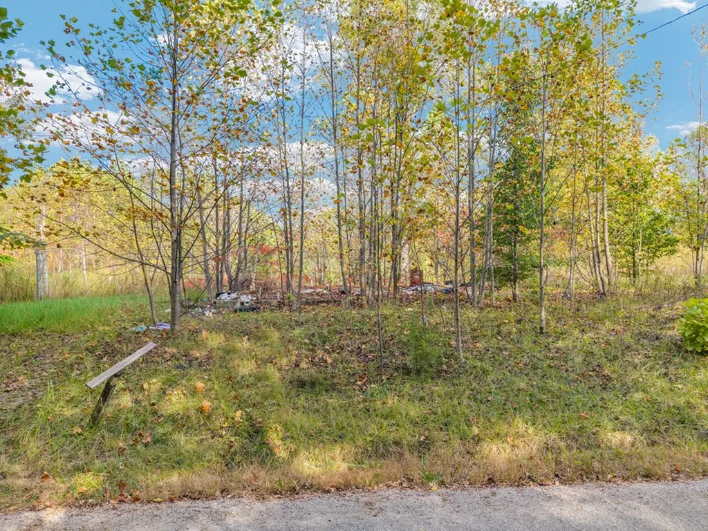 202 Sells Cemetery Road Wilder TN 38589