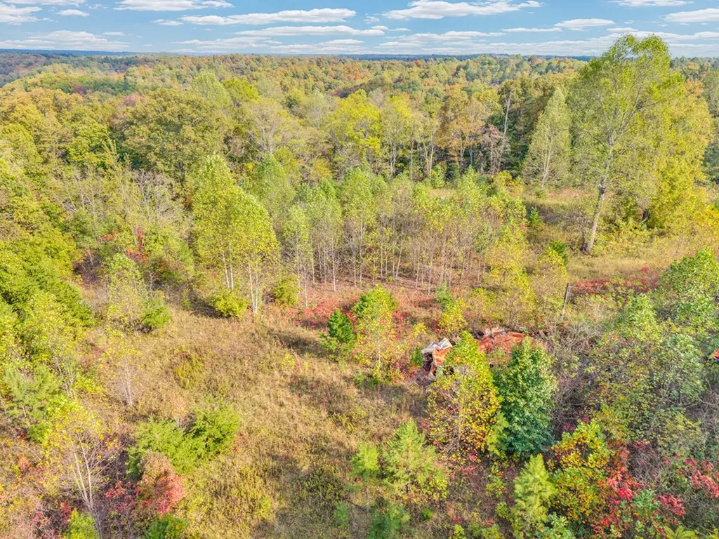 202 Sells Cemetery Road Wilder TN 38589