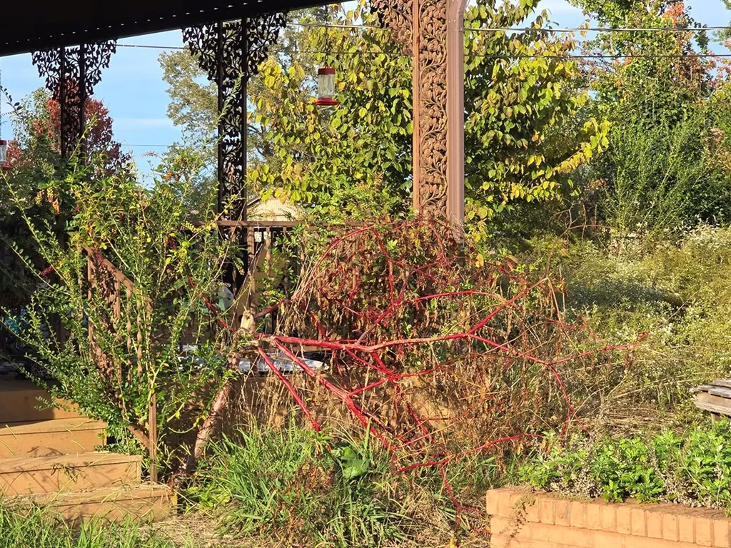 1475 Dyer Creek Road Cookeville TN 38501