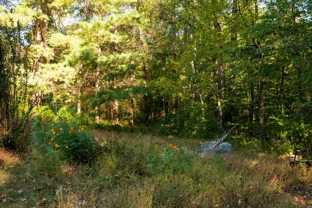 546 Geeseway Drive Cookeville TN 38506