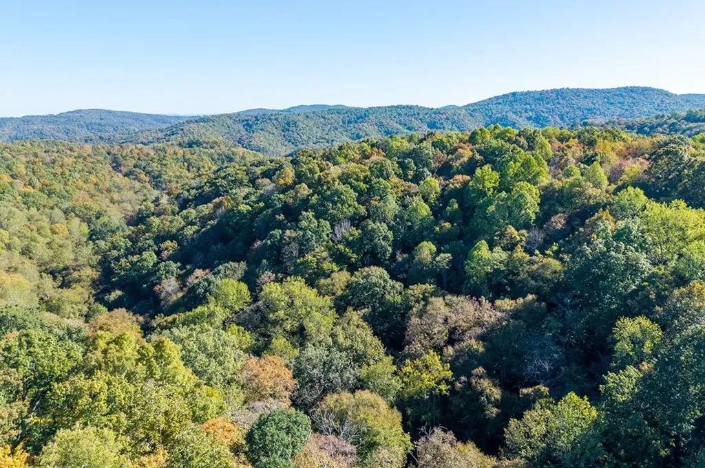 408 Massingille Lane Allons TN 38541