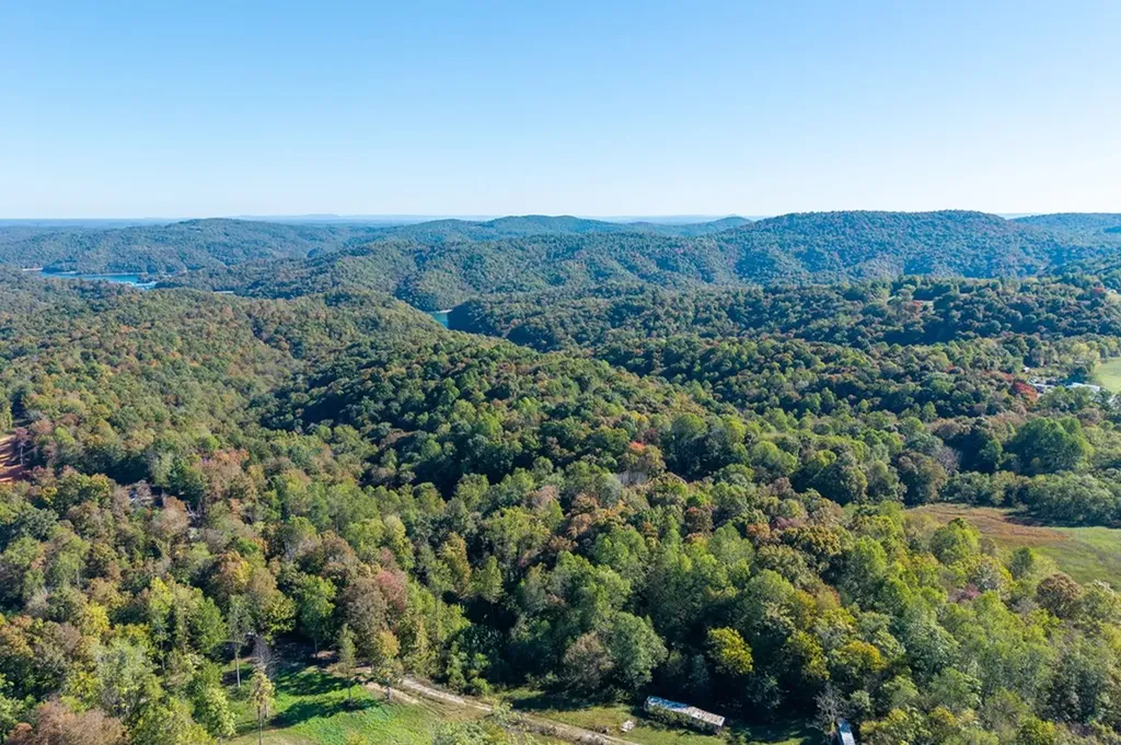 408 Massingille Lane Allons TN 38541