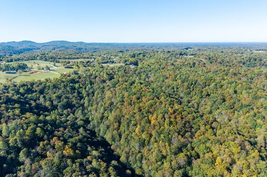 408 Massingille Lane Allons TN 38541