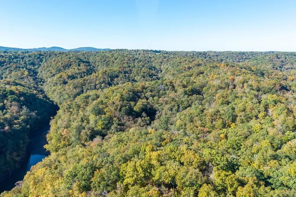 408 Massingille Lane Allons TN 38541