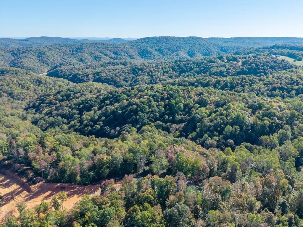 408 Massingille Lane Allons TN 38541