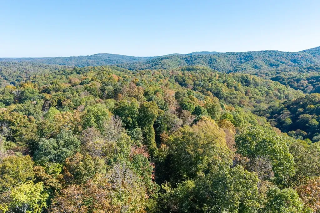 408 Massingille Lane Allons TN 38541