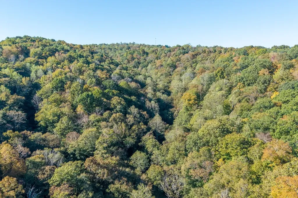 408 Massingille Lane Allons TN 38541