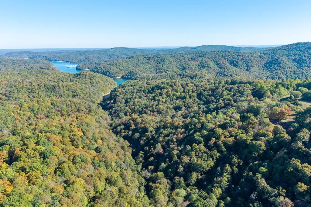 408 Massingille Lane Allons TN 38541