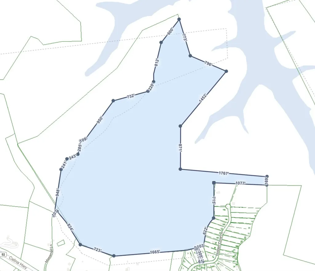 408 Massingille Lane Allons TN 38541