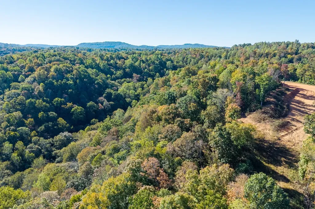 408 Massingille Lane Allons TN 38541