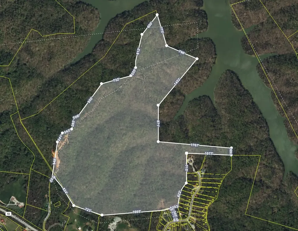 408 Massingille Lane Allons TN 38541