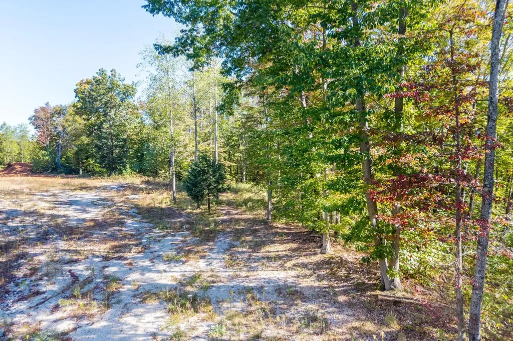 408 Massingille Lane Allons TN 38541