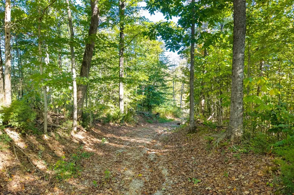 408 Massingille Lane Allons TN 38541