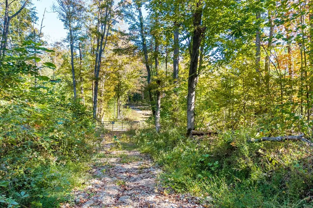 408 Massingille Lane Allons TN 38541