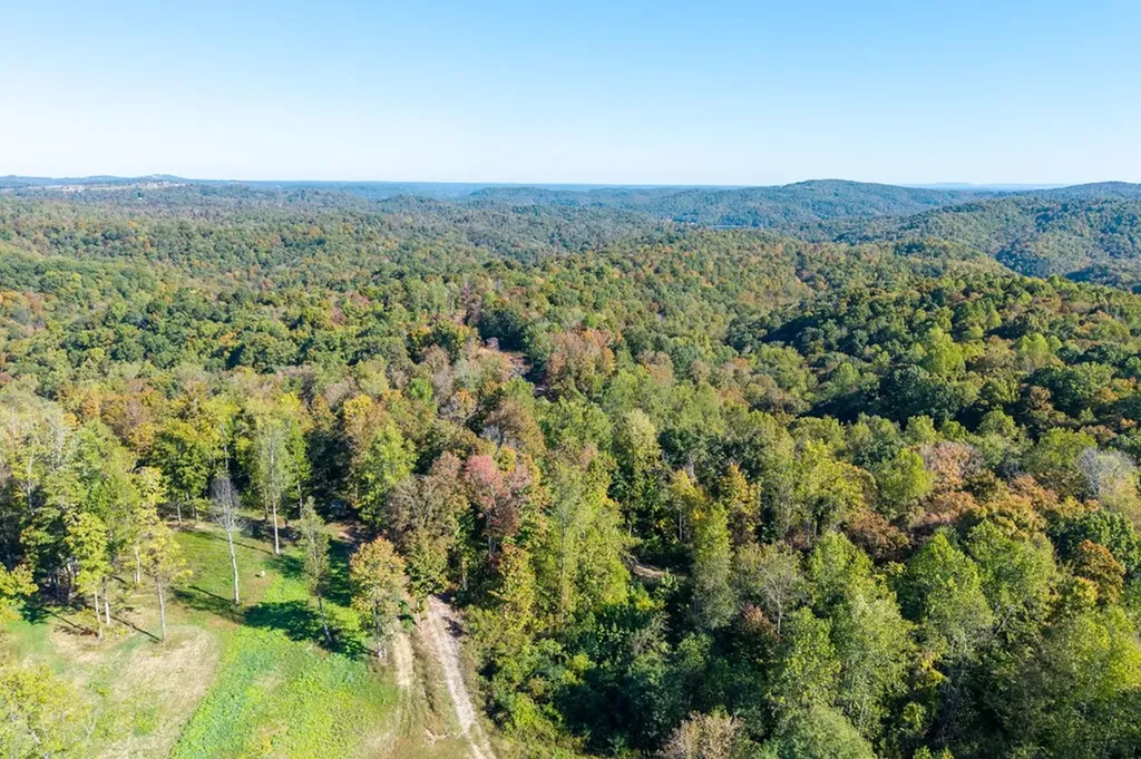 408 Massingille Lane Allons TN 38541