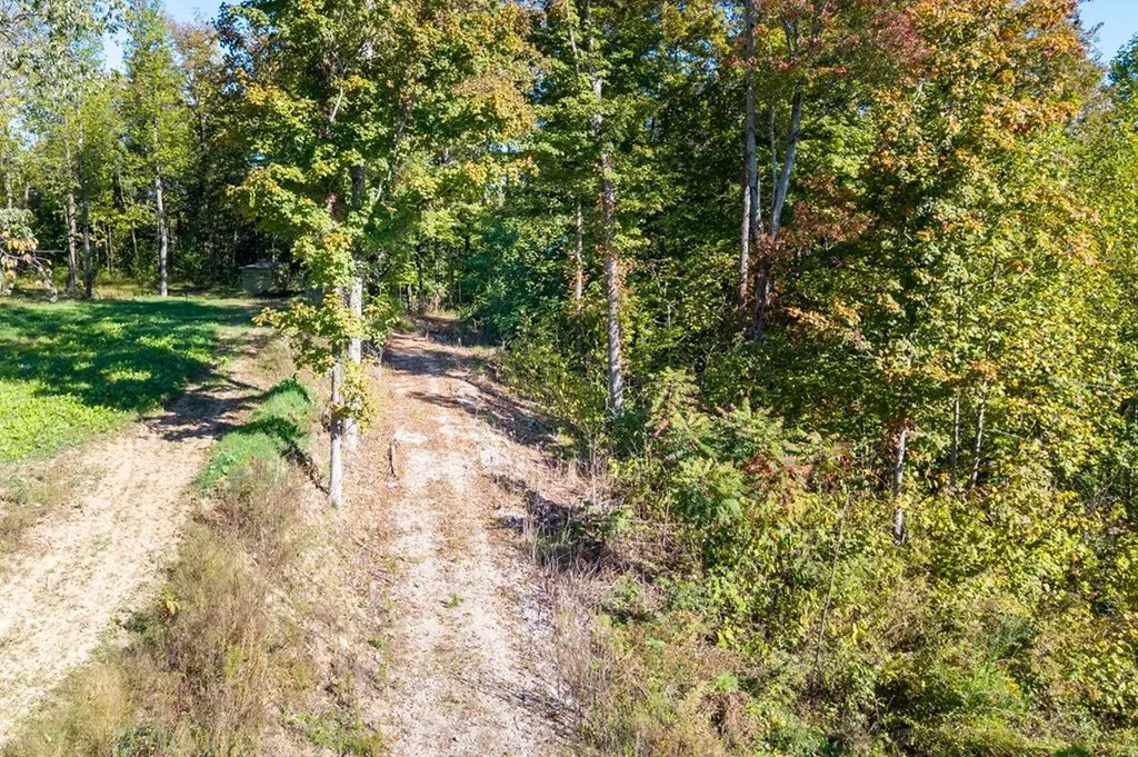 408 Massingille Lane Allons TN 38541