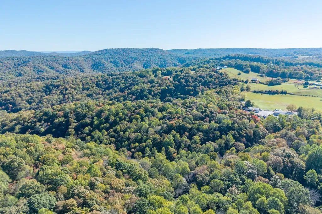 408 Massingille Lane Allons TN 38541