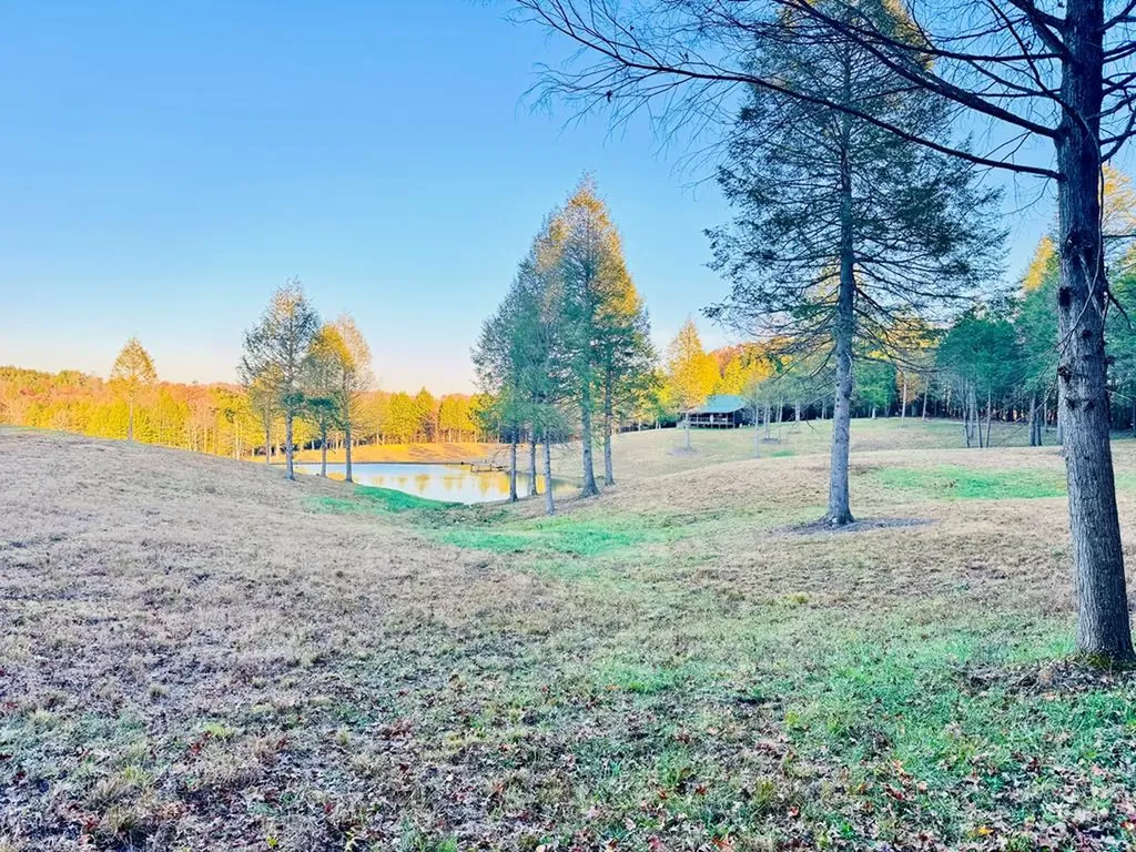 4832 Lovejoy Road Crawford TN 38554