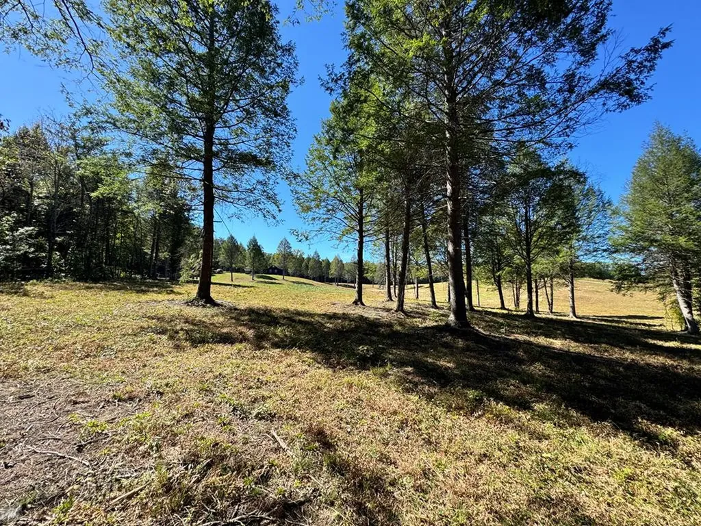 4832 Lovejoy Road Crawford TN 38554