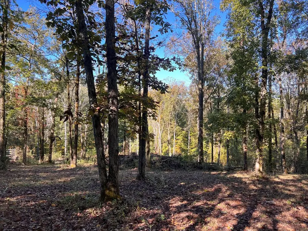 Lot 19 Shoreside Drive Smithville TN 37166