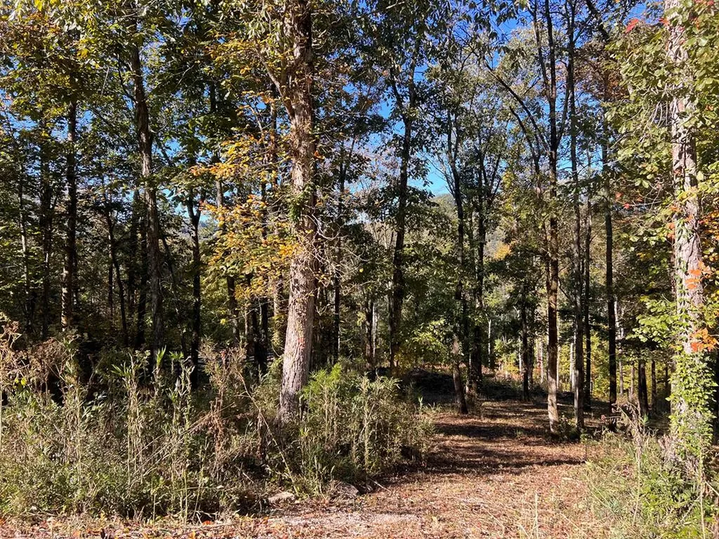 Lot 19 Shoreside Drive Smithville TN 37166