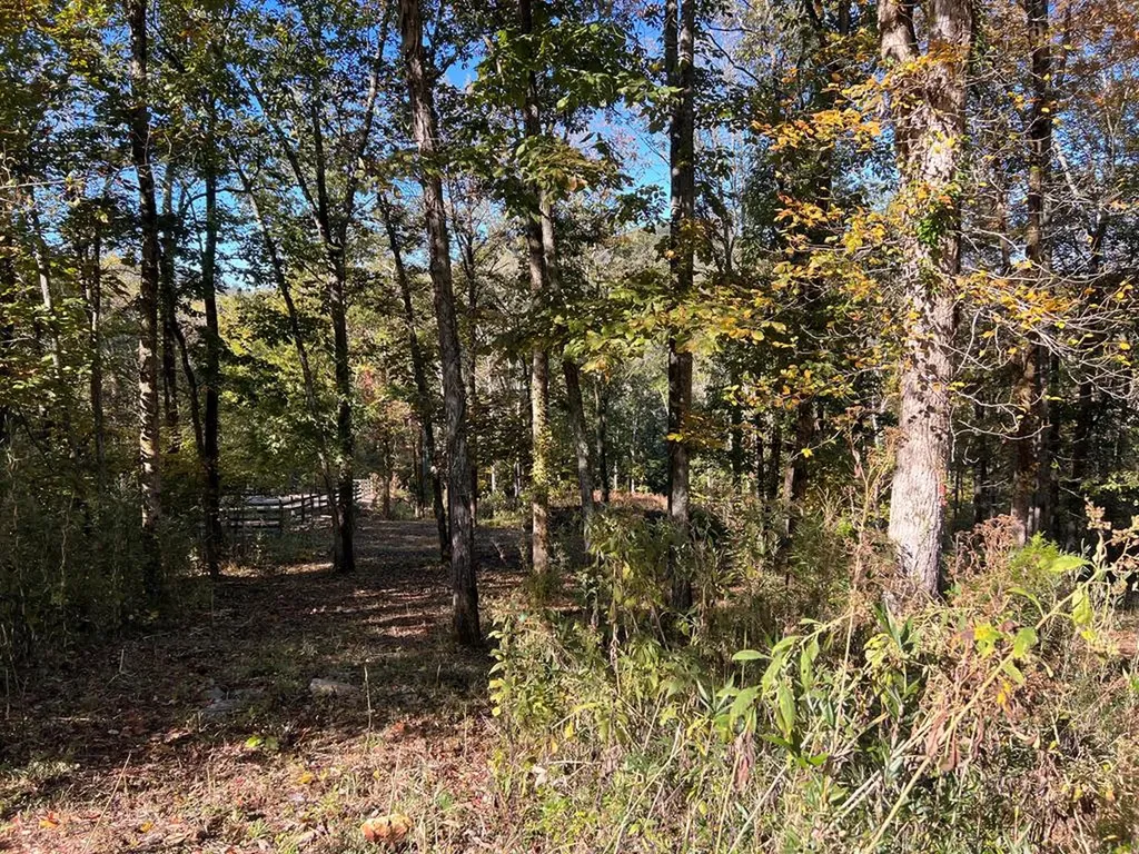Lot 19 Shoreside Drive Smithville TN 37166