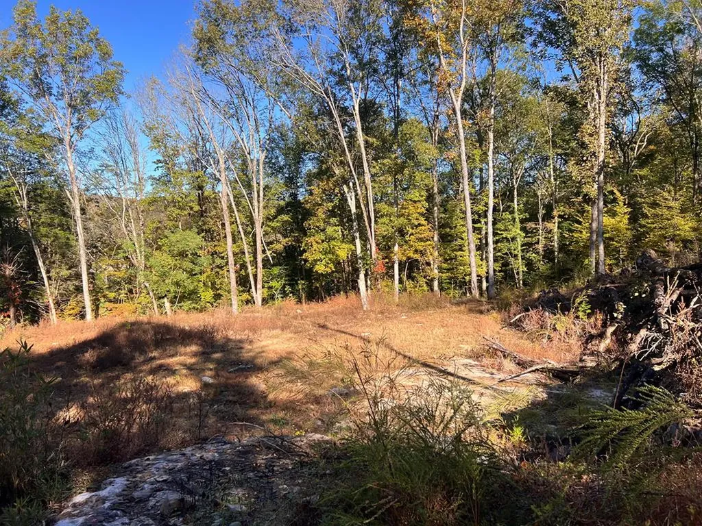 Lot 19 Shoreside Drive Smithville TN 37166