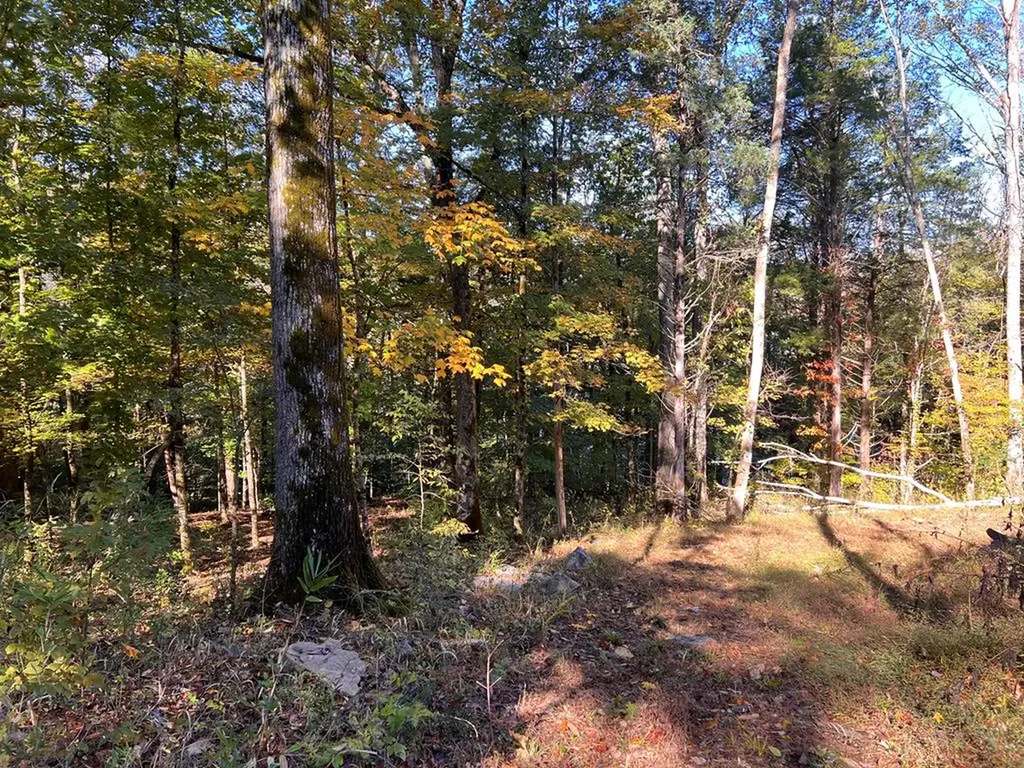 Lot 19 Shoreside Drive Smithville TN 37166