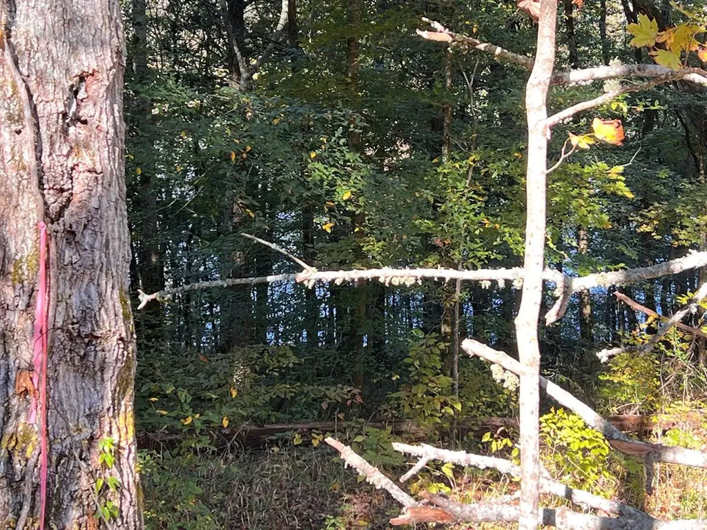 Lot 19 Shoreside Drive Smithville TN 37166