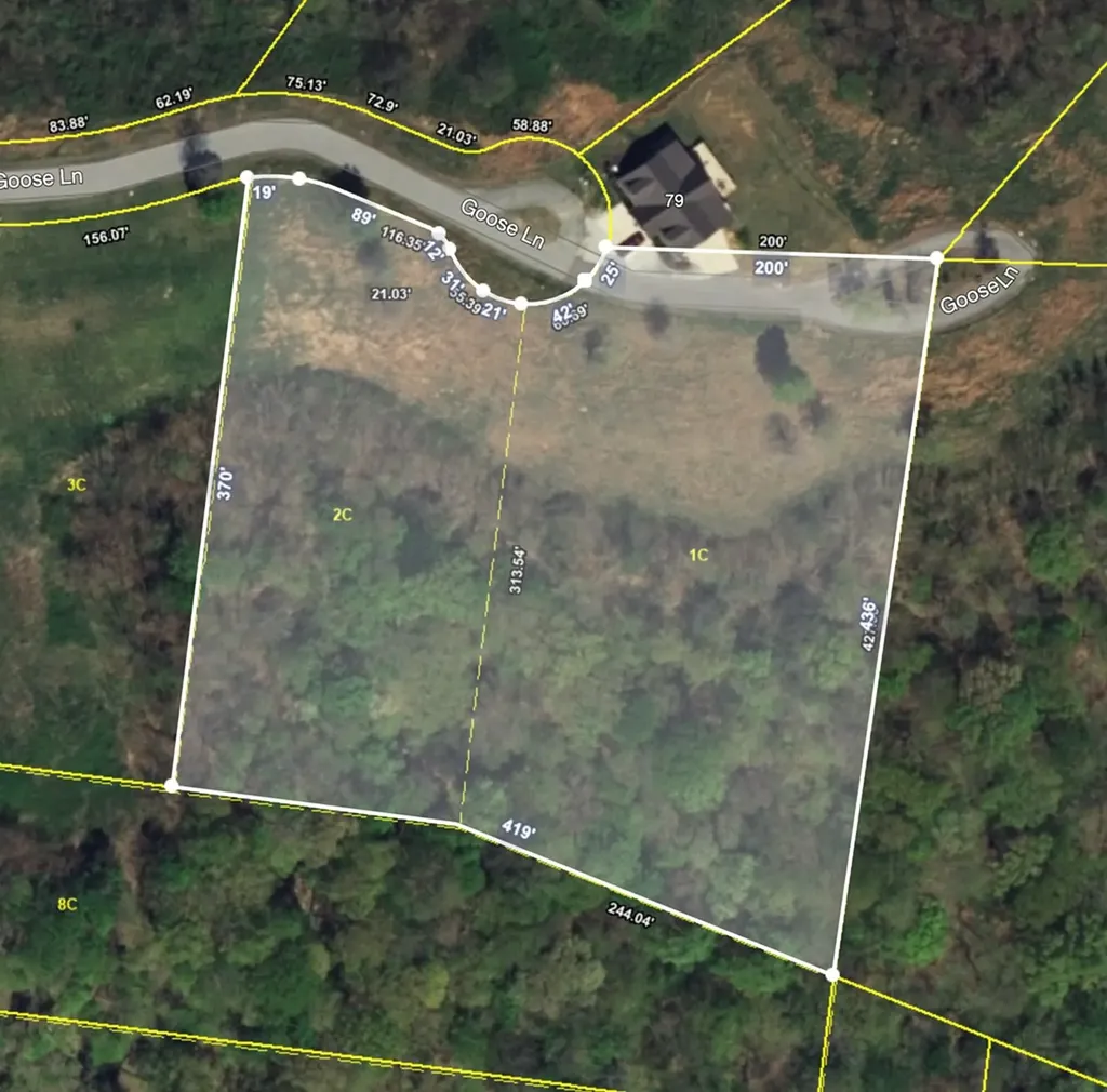 1C & 2c Goose Road Hilham TN 38568