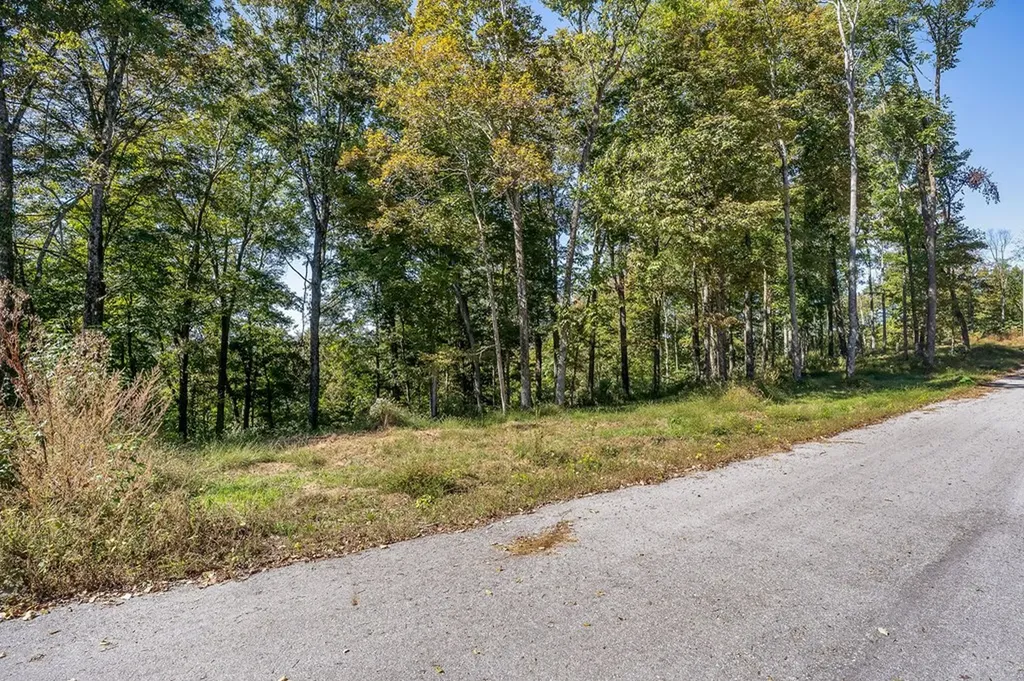 00 Back Ranch Drive Silver Point TN 38582