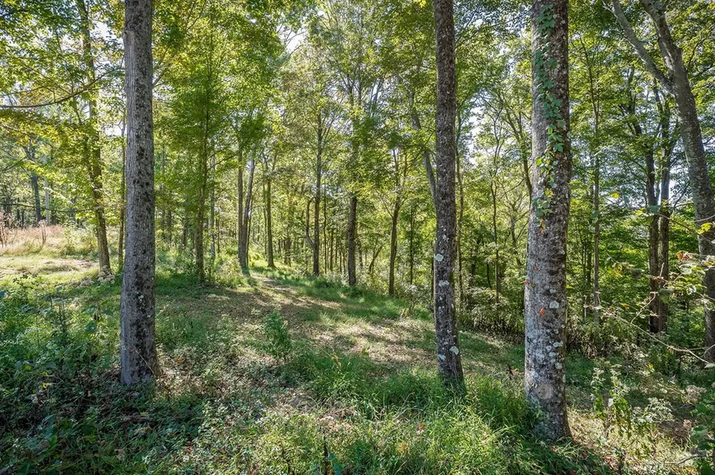 00 Back Ranch Drive Silver Point TN 38582
